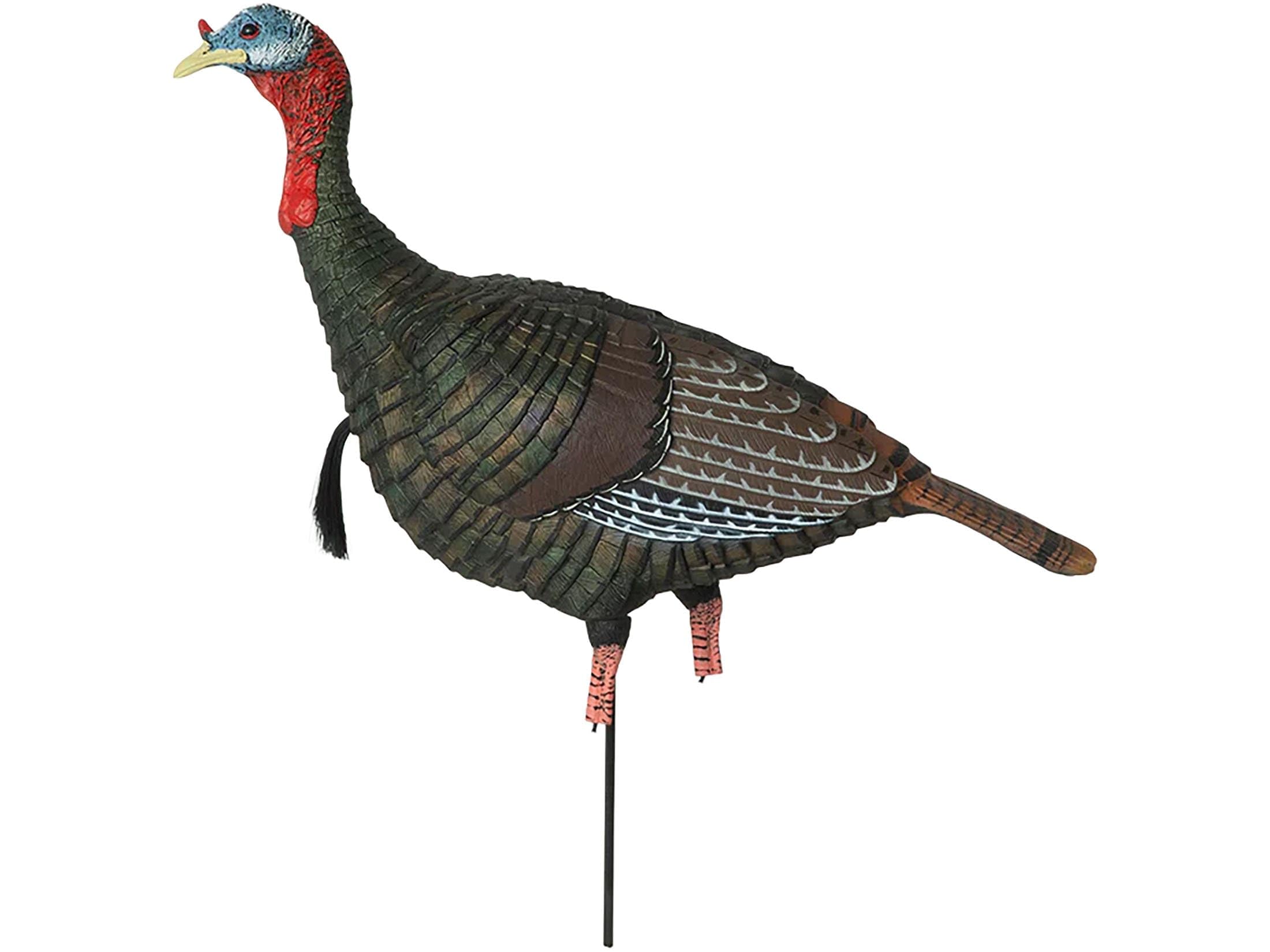 Banded GHG Pro-Grade XD Turkey Hunting Decoys, Upright Jake, Upright Hen, Feeding Hen, Laydown Combo Pack (Upright Jake)