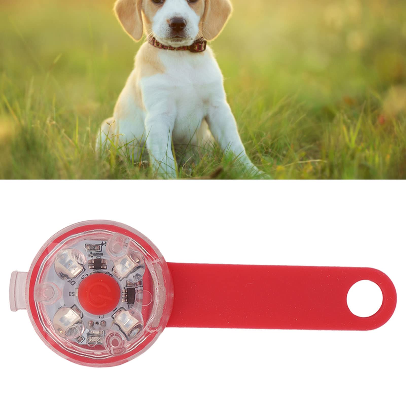 Wisiorek z lampką LED dla Psa Pet USB ładowalna Zawieszka Emitująca światło LED Pet Wodoodporna Zawieszka Zewnętrzna Lampka Ostrzegawcza LED Wisiorek z lampką dla Psa (Czerwony)
