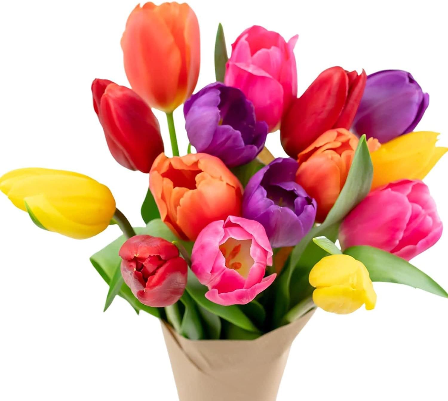 Stargazer Barn 15 Stem Rainbow Tulips Bouquet - Fresh Cut Flower Delivery, Hand-Tied in the USA, Gift for Birthday, Anniversary, Sympathy or Home Decor - Vase Not Included
