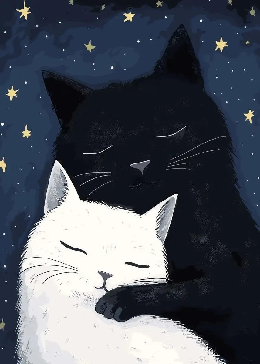 Affiche chat noir et blanc pour créer un salon cocooning et poétique