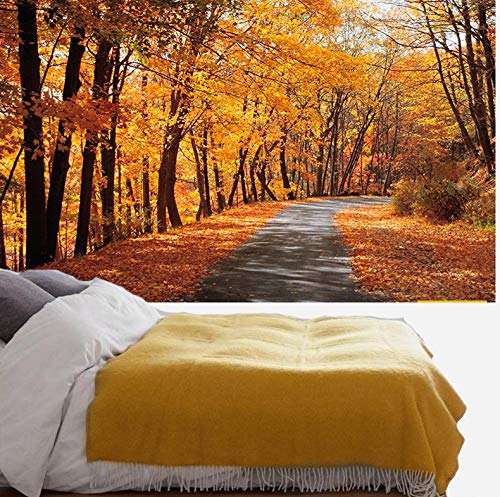 タペストリー 壁掛け 秋の森自然風景 撮影用 背景 日の出 間仕切りカーテン おしゃれ インテリア雑貨 バーチャル開け窓壁飾り 開放感風景画 自宅やお店の装飾 多機能壁飾り小物 新居祝いプレゼント 気分転換 窮屈改造 (150x130cm,GT-000716)