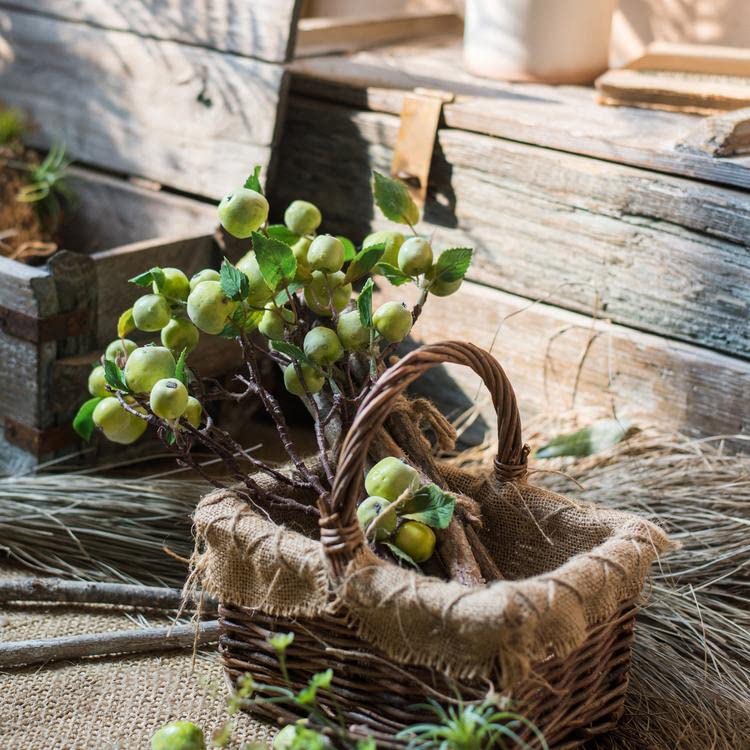 Gentille G Home Collection Rustic Artificial Mini Apple Stems in Green 23