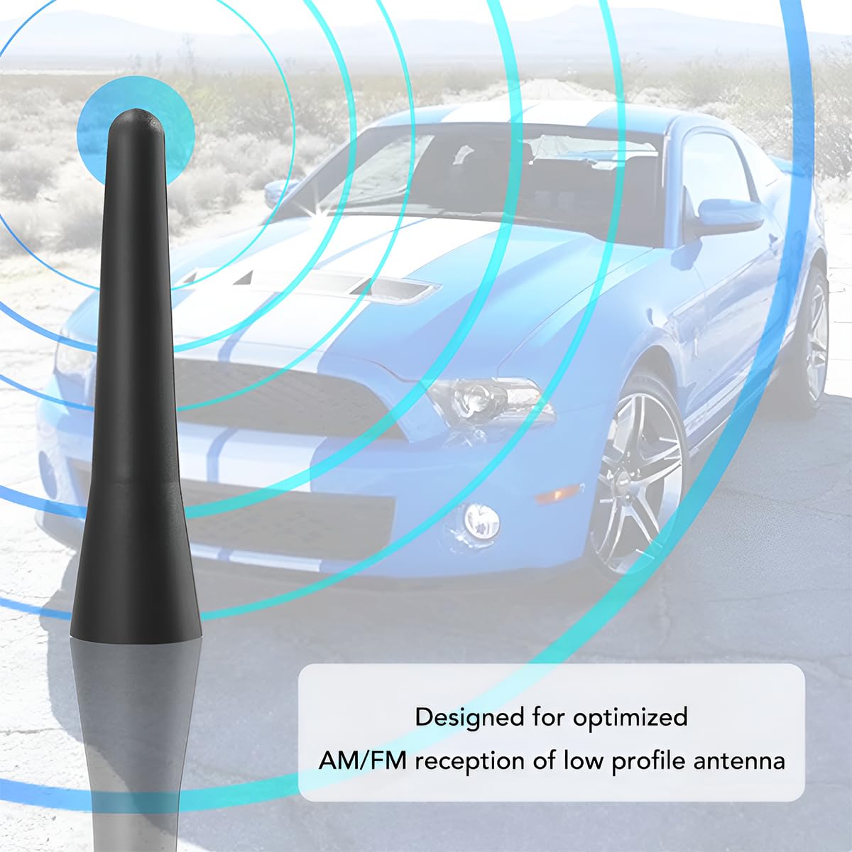 Antenna Auto Corta CGEAMDY 6.5 Cm - Per Radio FM/AM, Con Adattatori M4, M5, M6, Universale Per Tutte Le Auto - Foto 3