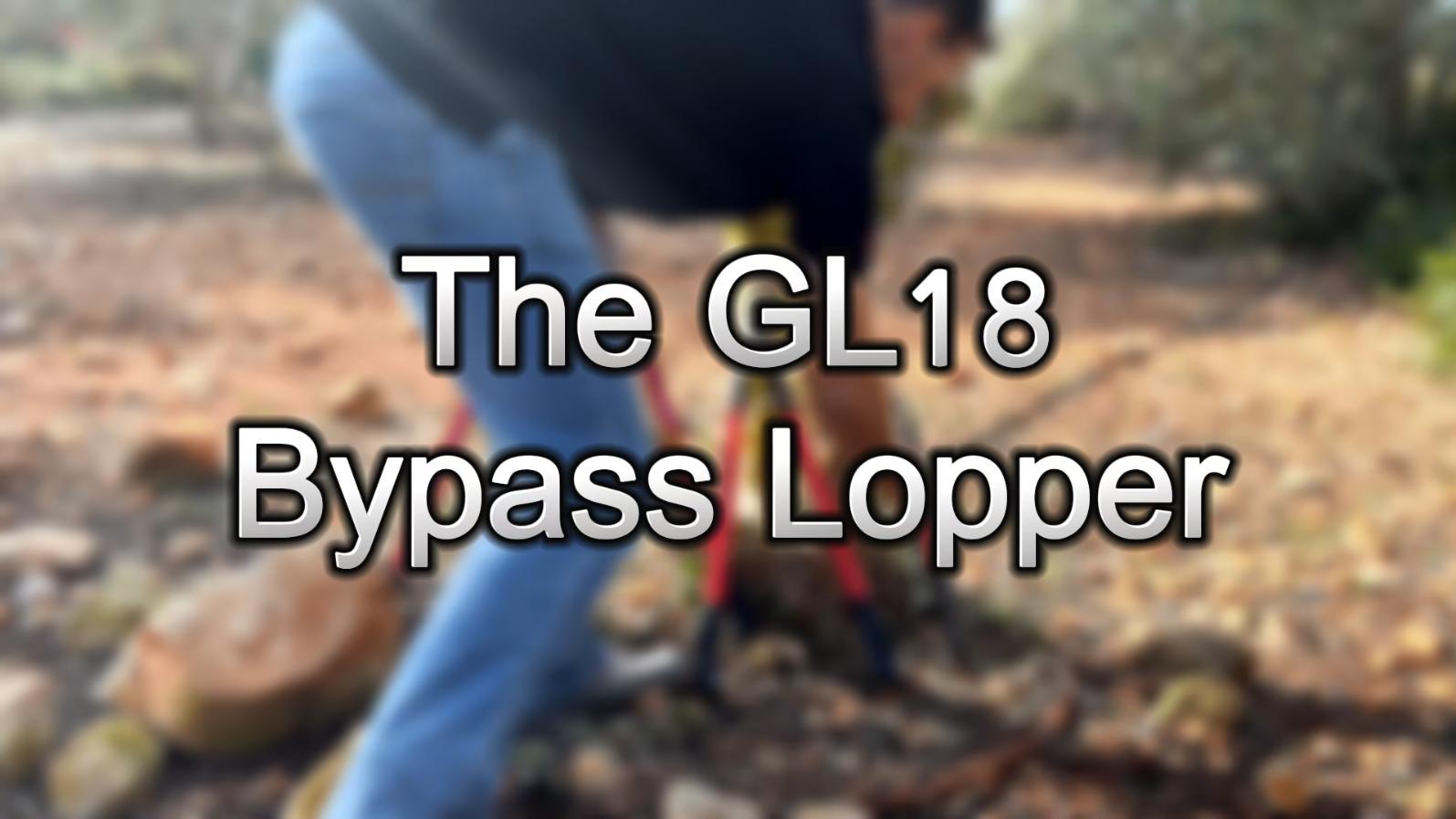 Amazon.com : TABOR TOOLS GL18A Small Bypass Lopper, Short Bypass