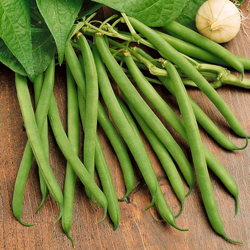 Image of Ferry-Morse Online Edition Bean Jack's Magic Pole Vegetable Plant Seeds - GMO Free, Outdoor - 7 Pack (Ferry-Morse Exclusive)