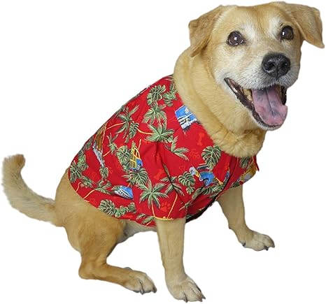 Dog hawaiian shirt amazon Clearance