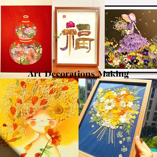 Kit de 48 flores prensadas secas naturales para manualidades miniatura 7