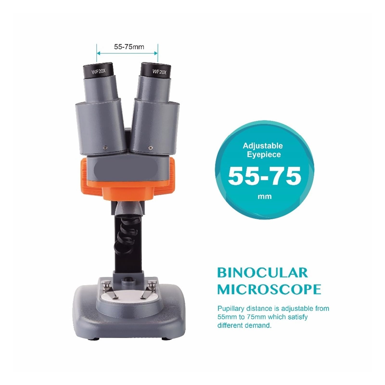 Microscopio estereoscópico Binocular 40X con luz LED Superior for Soldadura de PCB y muestras minerales, Herramientas ampliamente utilizadas