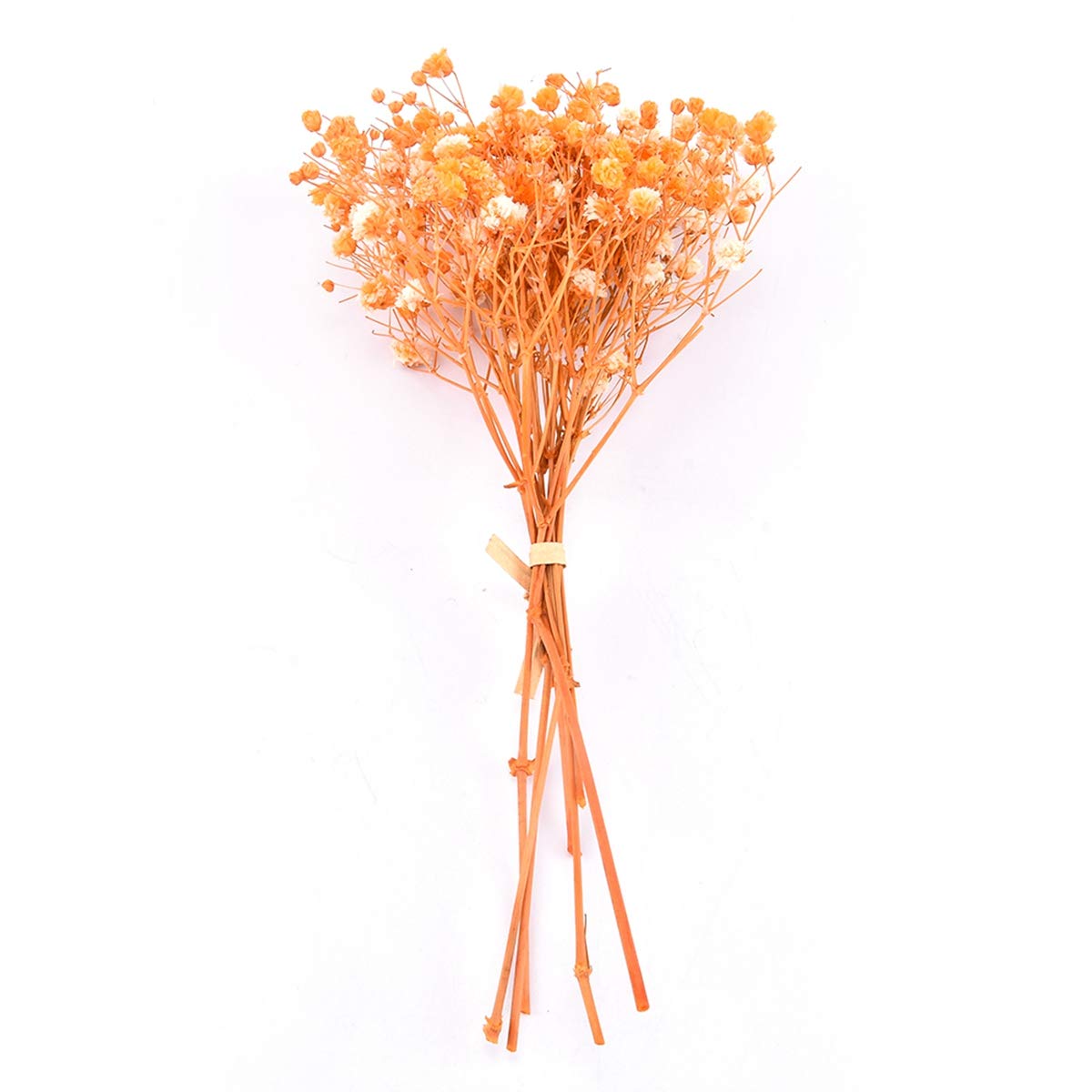 ZHIQIAN Natural Dried Flowers, Gypsophila Dried Flower for Home Living Room Wedding Dining Table Decoration DIY Flower Arrangement Party Decoration(Orange)