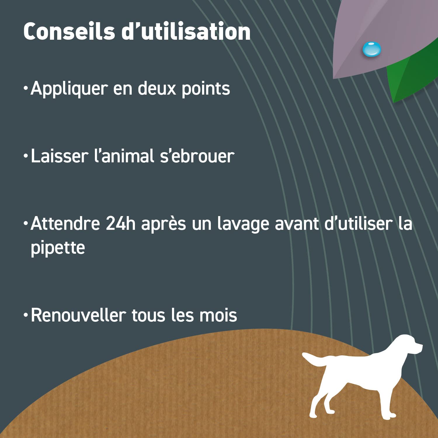 BIOVETOL - Pipettes Antiparasitaires Chien - Antiparasitaire Bio Certifié Ecocert - Anti-puces, Anti-Tiques (pour Moyen Chien (de 15 à 30 kgs), 3 pipettes + 1 Offerte)