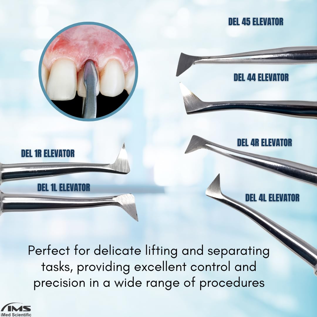 6 Pcs Dental Root Extracting Cryer Left Right Elevators Set Includes #1L #1R #4L #4R #44 and #45 Stainless Steel Luxating Elevator All-in-One Pack for Dentists Students Training Centers