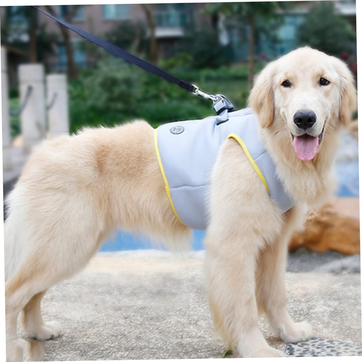 BESPORTBLE 2pezzi Gilet Rinfrescante Per Pet Cooling Traspirante Per Attività Esterne Design Per Facile Indossare e Rimuovere Xs