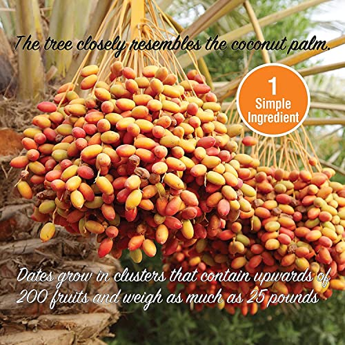 Mariani Premium Mariani Pitted Dates thumb #7
