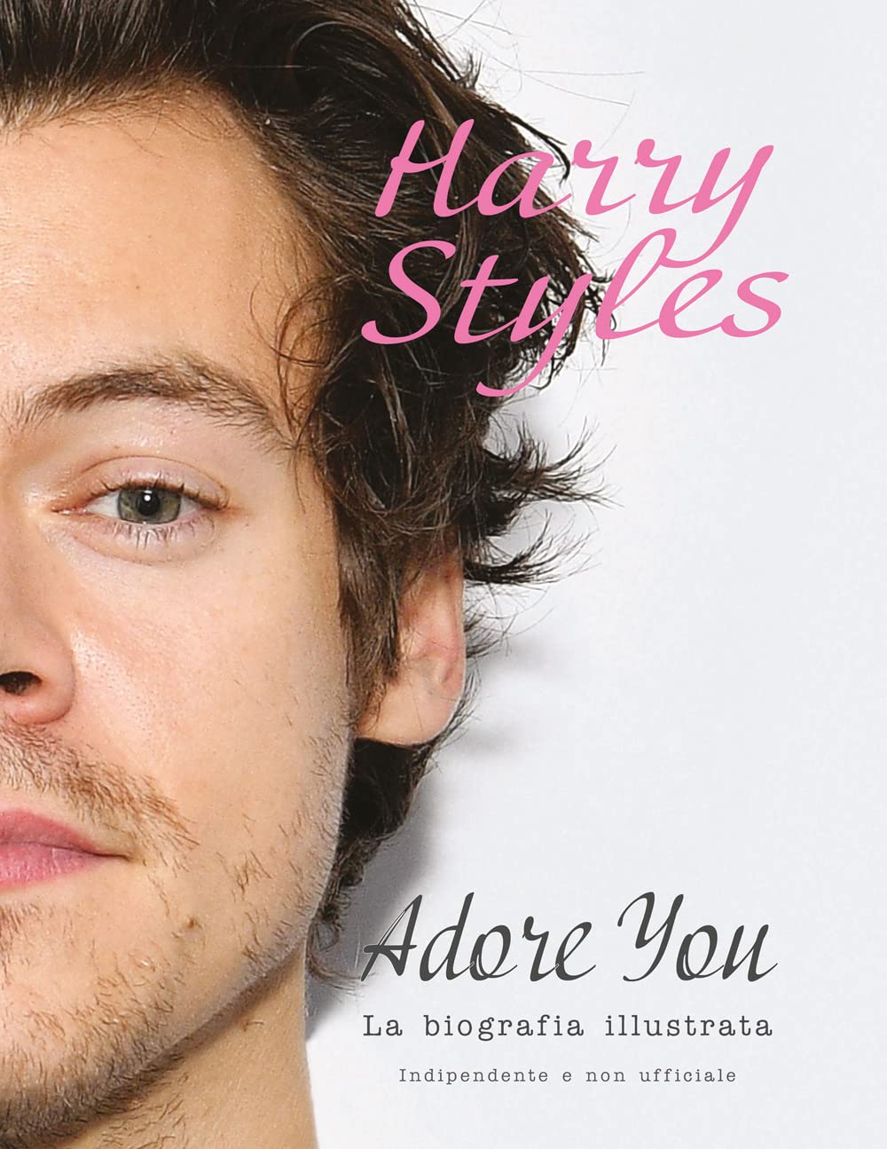 Harry Styles. Adore You. La Biografia Illustrata - 4