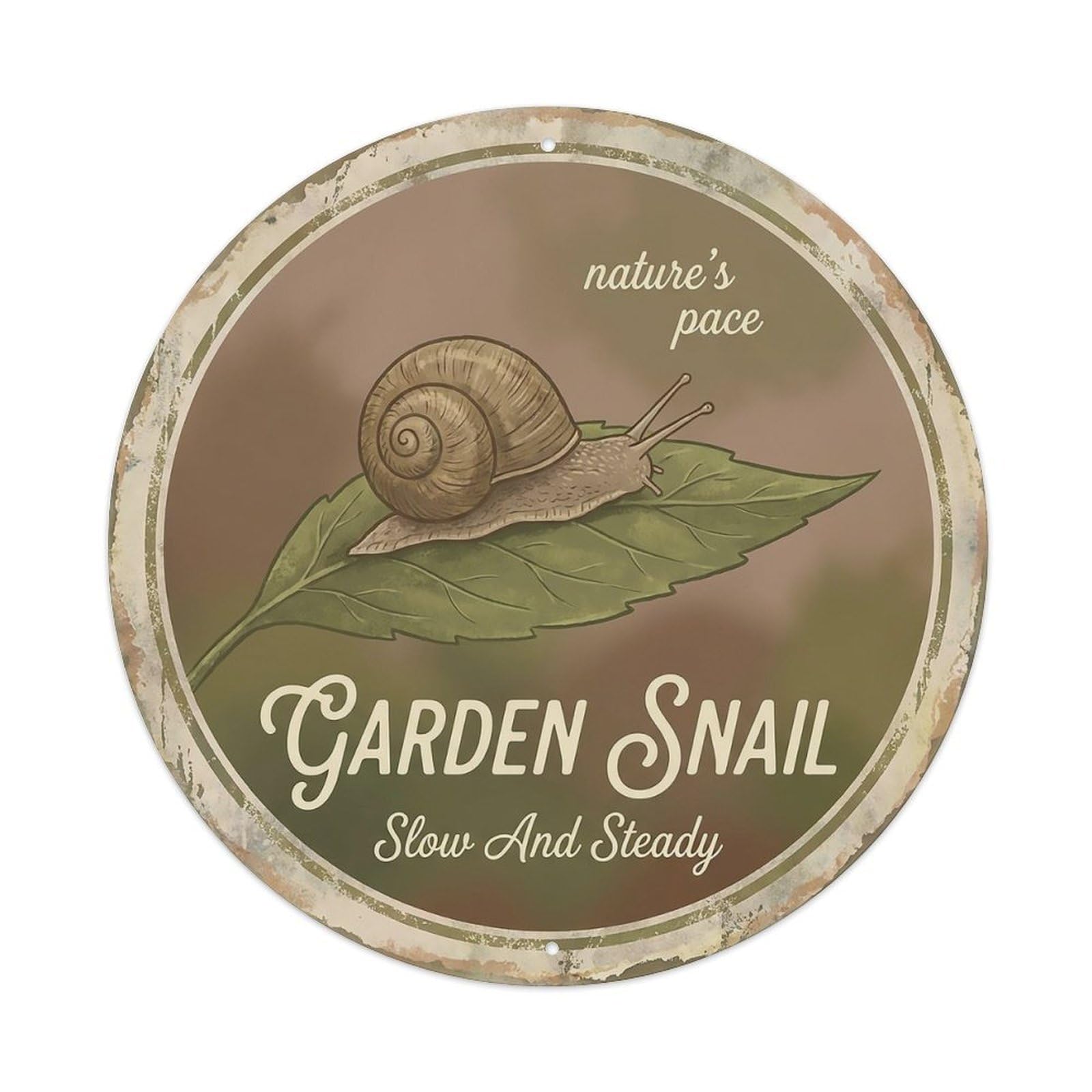 Cxhjca 8X8inch(20X20cm) Vintage Cottagecore Garden Snail Slow Shell Spiral Metal Tin Sign