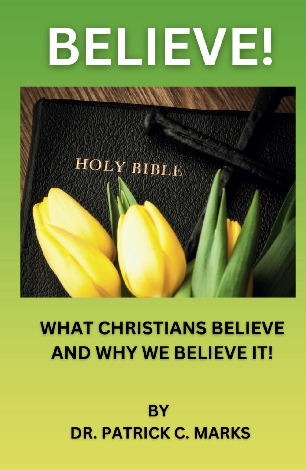 Believe!: What Christians Believe and Why We Believe it