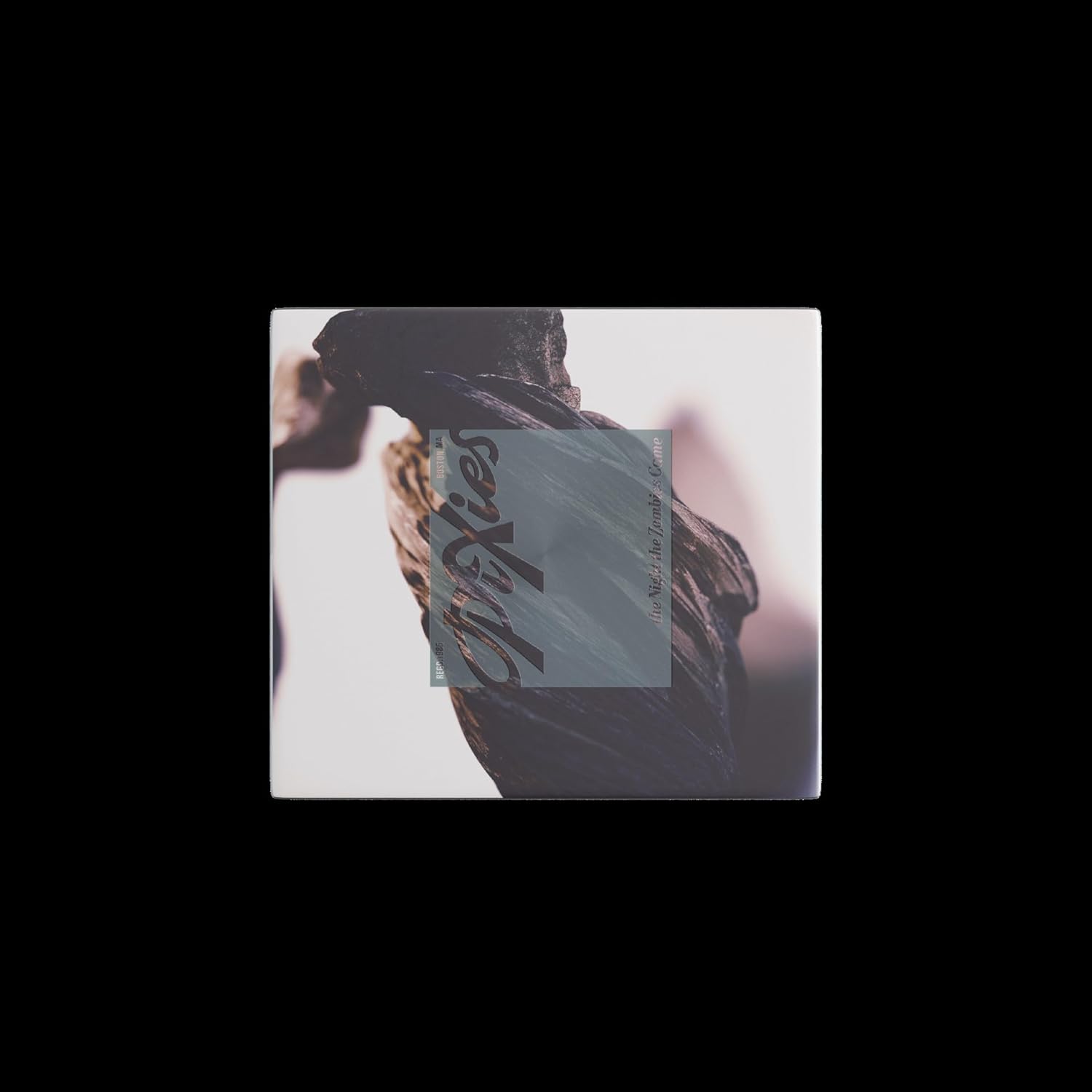 Pixies『The Night the Zombies Came』