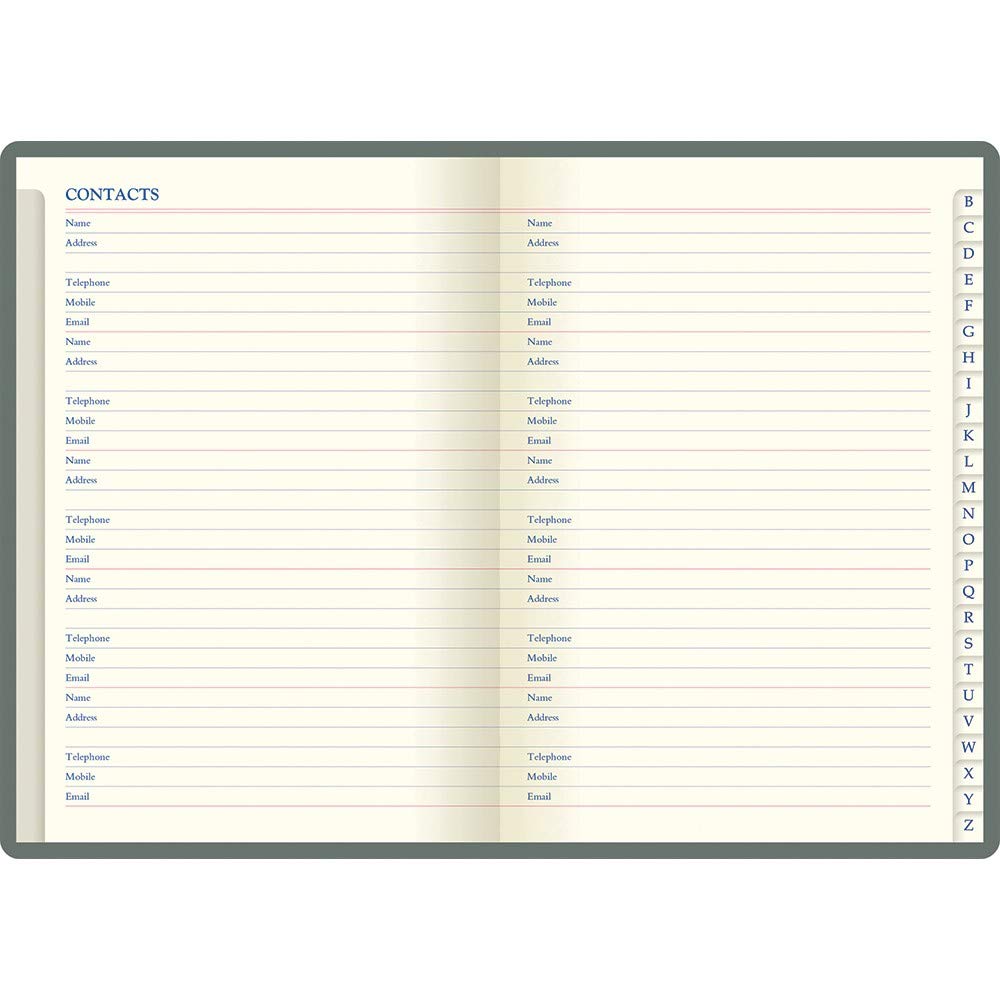 Cuaderno De Puntos Para Lettering / Vaidhé Shop - Tienda Online