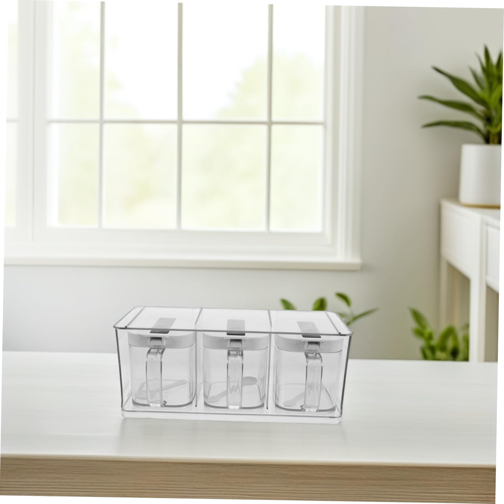 TOPBATHY Boîte à Épices Élégant Transparente avec Couvercle Hermétique en Pet Set Mural pour Rangement de Condiments Cuisine