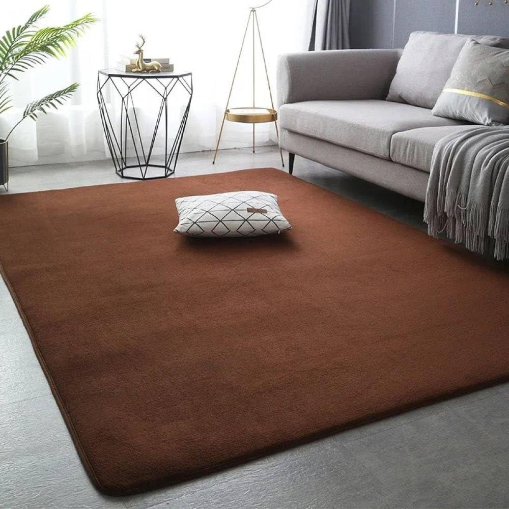 Tapis salon gris velours doux épais rectangulaire 60x160cm