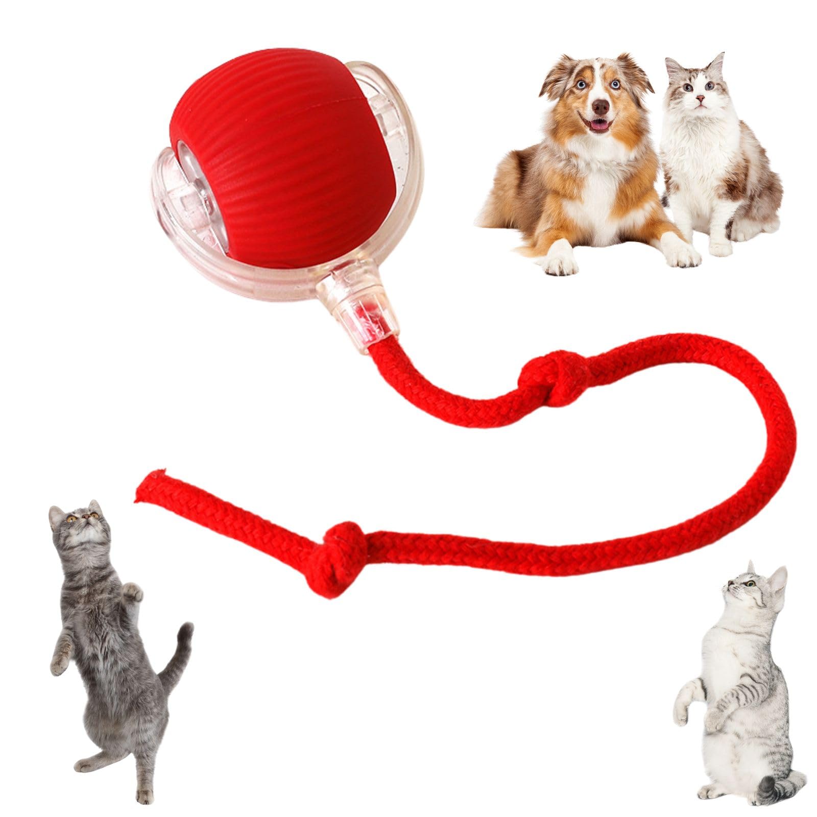 Givuaime Chewie Rolling Ball - Automatisches Katzen & Hundespielzeug