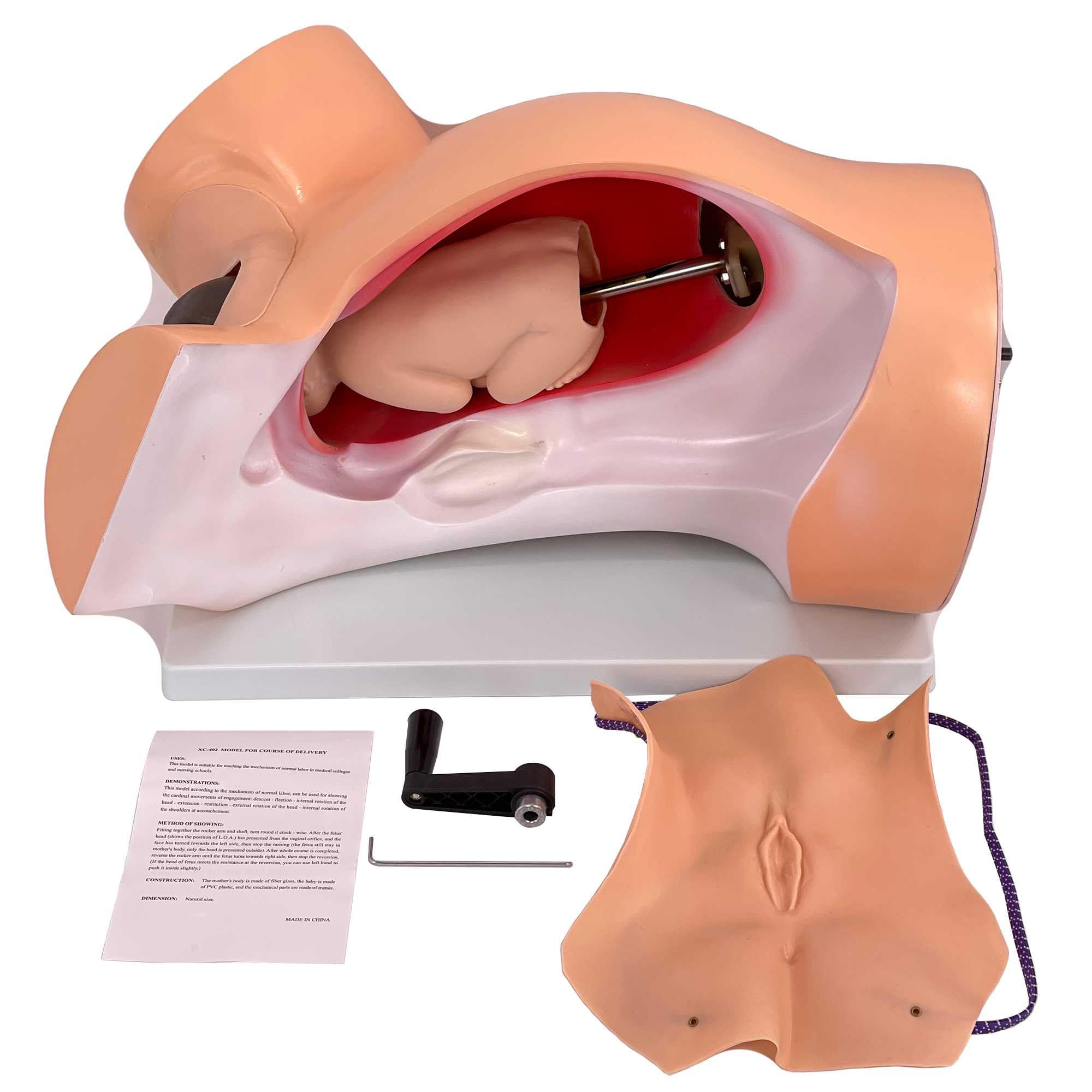 Modèle obstétrique AMITD avec simulateur mécanique d'accouchement pour écoles de médecine