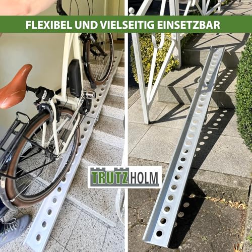 TRUTZHOLM Auffahrschiene klappbar 240 cm Tragkraft 50 kg Alu grau gelocht Fahrradrampe Rampe
