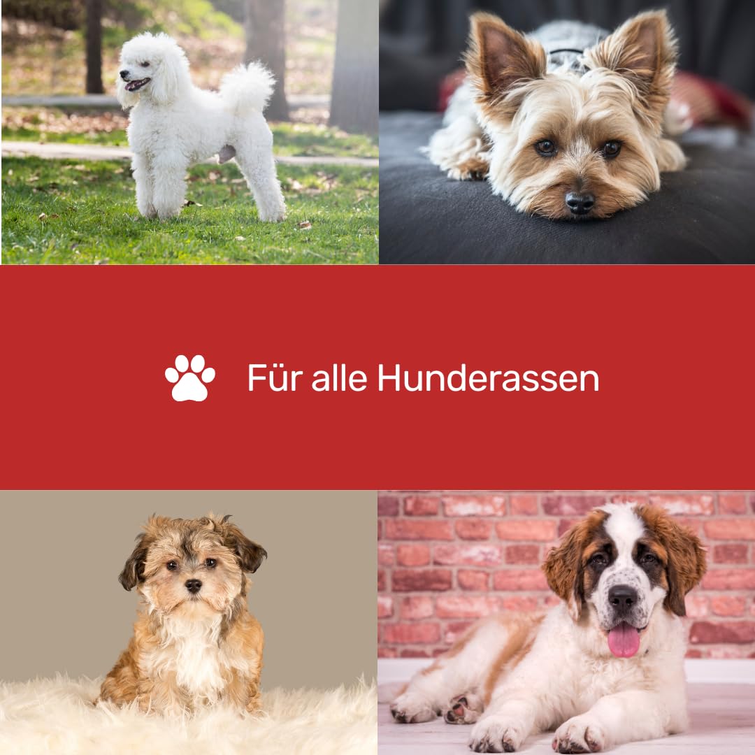 EHASO Premium Pfotenschere 17 cm Rundspitze für Hunde | Abgerundete Schere, Gebogene Klinge, Klein und Prä