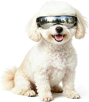 NAMSAN Dog Goggles Small Breeds, UV Protection Dog Glasses for Small Dogs, Puppy Sunglases Windproof Dustproof Driving Eye Protection, Adjustable, Cute Silver