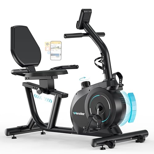 Recumbent Exercise Bike