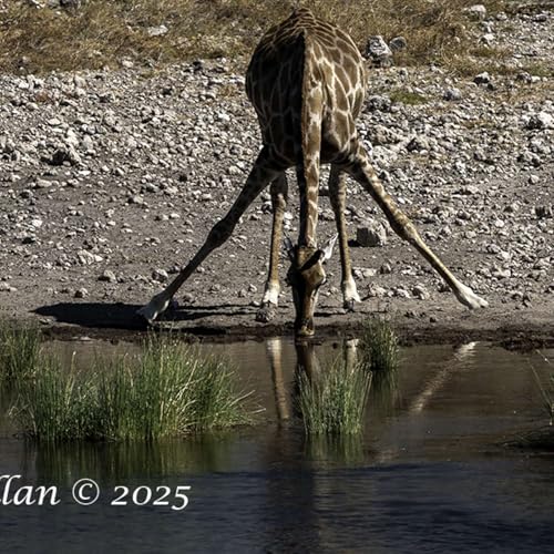 Strengthen and Release Your Low Back &copy;2025