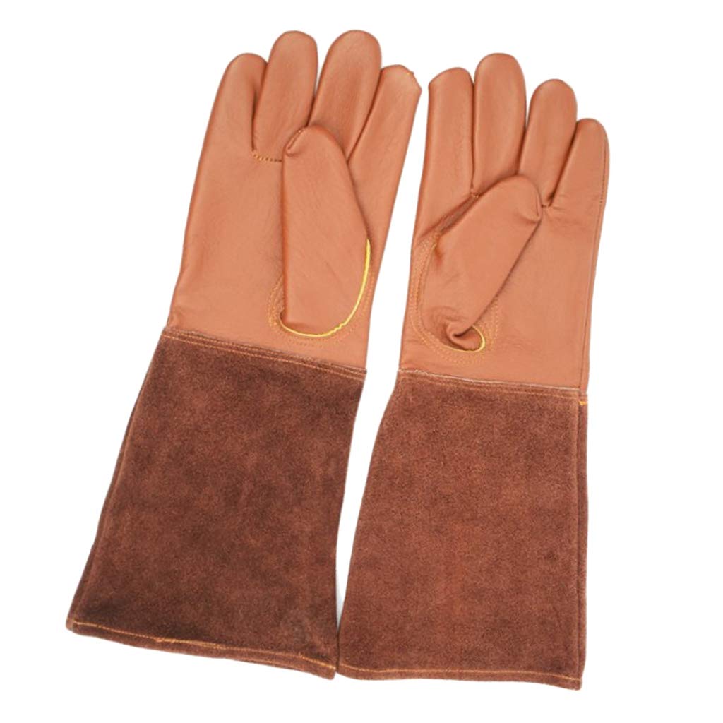 Guantes de jardinería, Guantes de jardinería largos cuero for mujeres/hombres - resistentes(M)