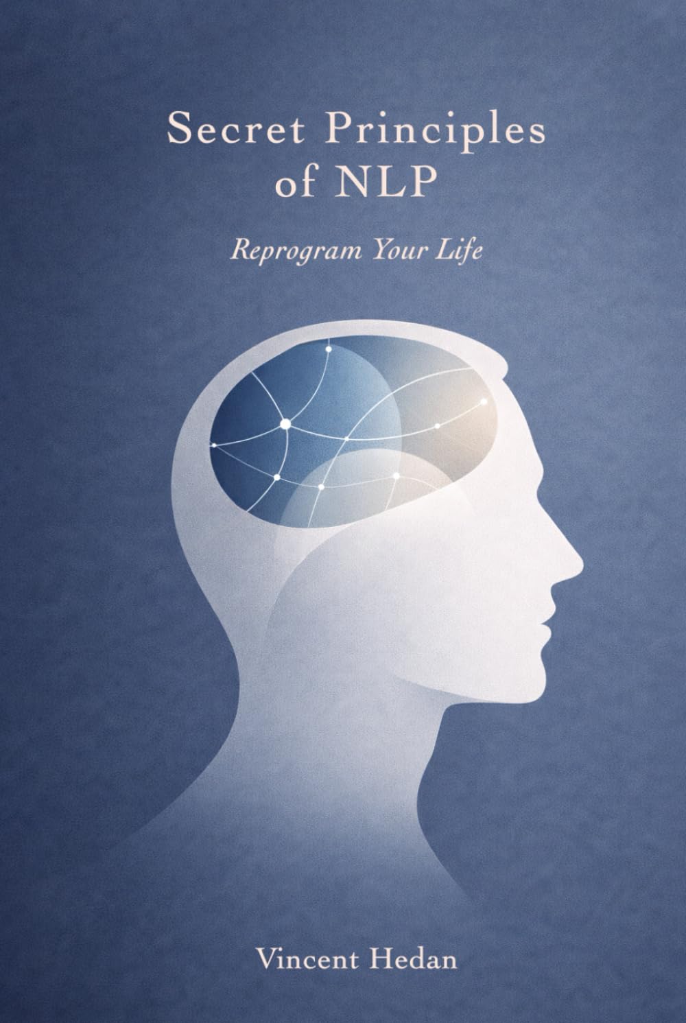 Secret Principles of NLP