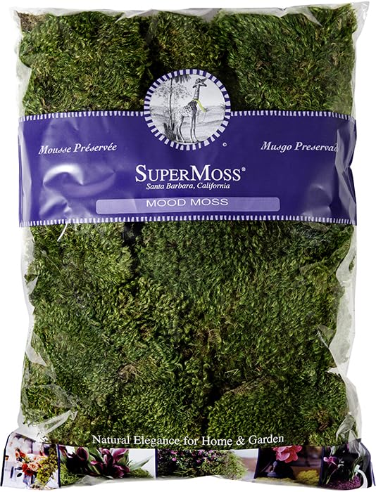Mousse d'humeur SuperMoss pour création artisanale et art floral naturel
