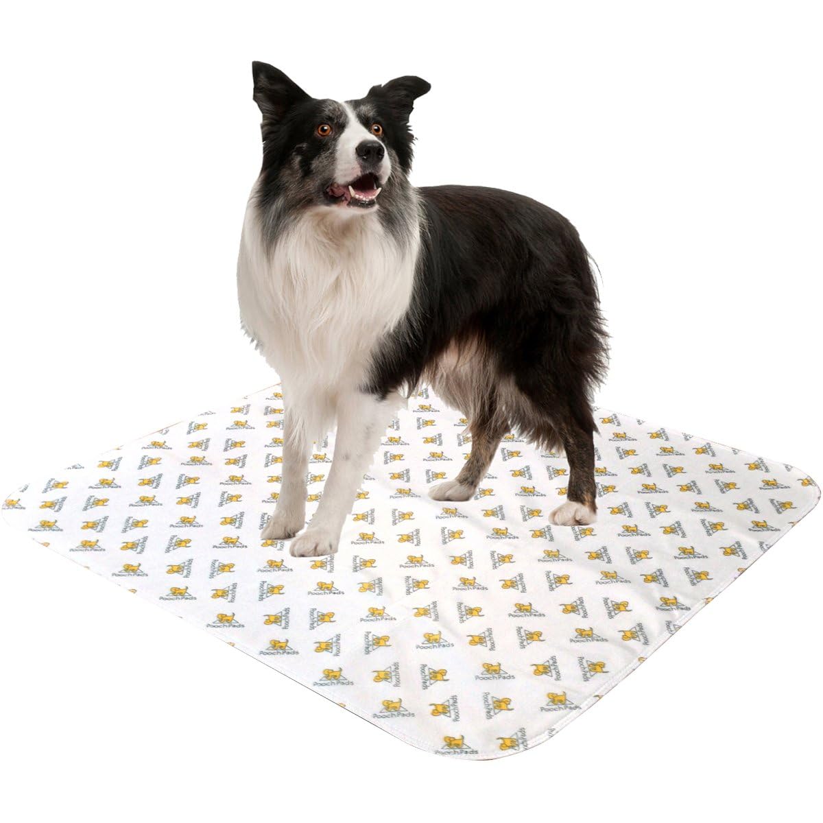 Tapis d'entraînement PoochPad absorbant et réutilisable