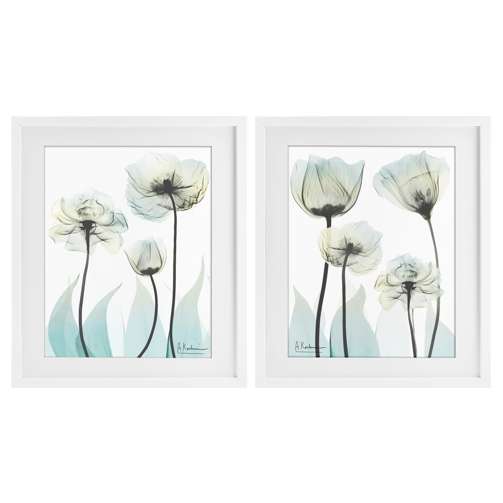 Stupell Industries 'Luxury Of Creation Flowers', 2pc Framed Print Under Glass Set, White, 13 x 16 Inches, Easy to Hang and Sturdy, Made in USA, by Albert Koetsier