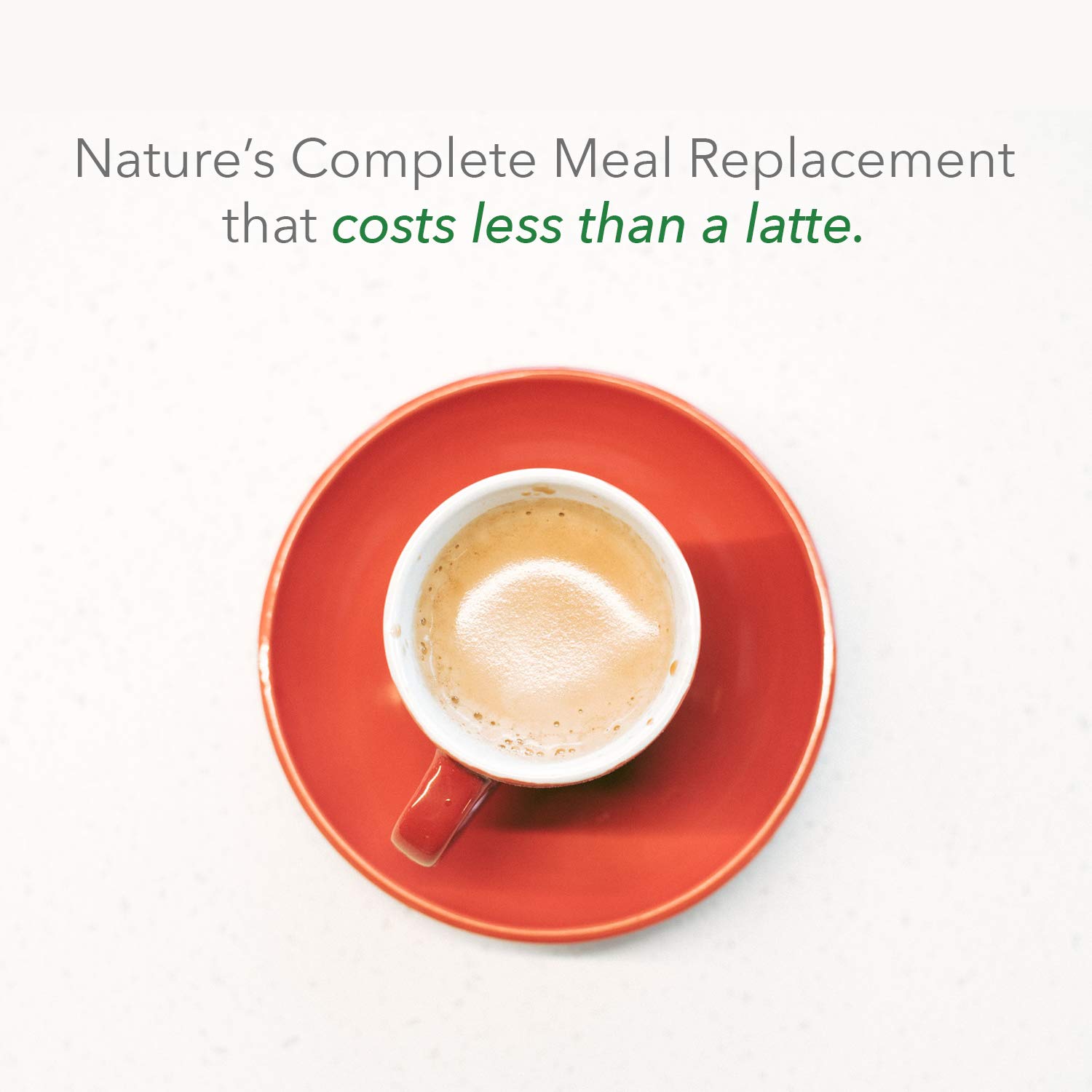 Buy PlantFusion Complete Meal All Plant Based Pea Protein Powder Meal