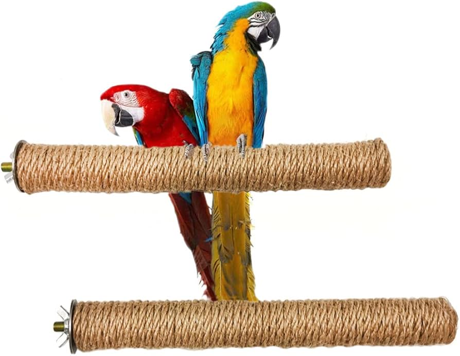 Ray℃ 木ノ葉 夢猫 真天地開闢集団ジグザグ ジグザグ CD