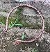 ARTIZANSTORE Medieval Hand Forged Twisted Iron Torc, Necklace Twisted Druid Celtic Celt Celts Vikings Torc (Copper)