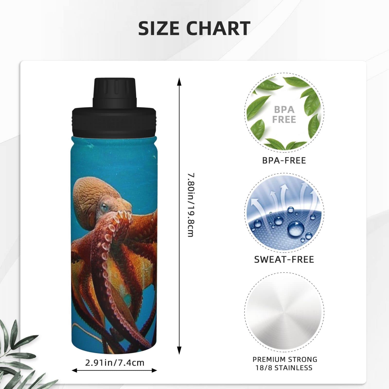 Octopus Sport-Wasserflasche, 510 ml, isolierte Edelstahl, auslaufsichere Wasserflasche für Reisen, Fitnessstudio, Büro