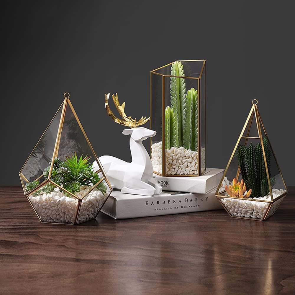 Simulation Fleshy Green Plant Glass Cover Greenhouse Potted Office Wine Cabinet Decoration Creative Modern and Simple