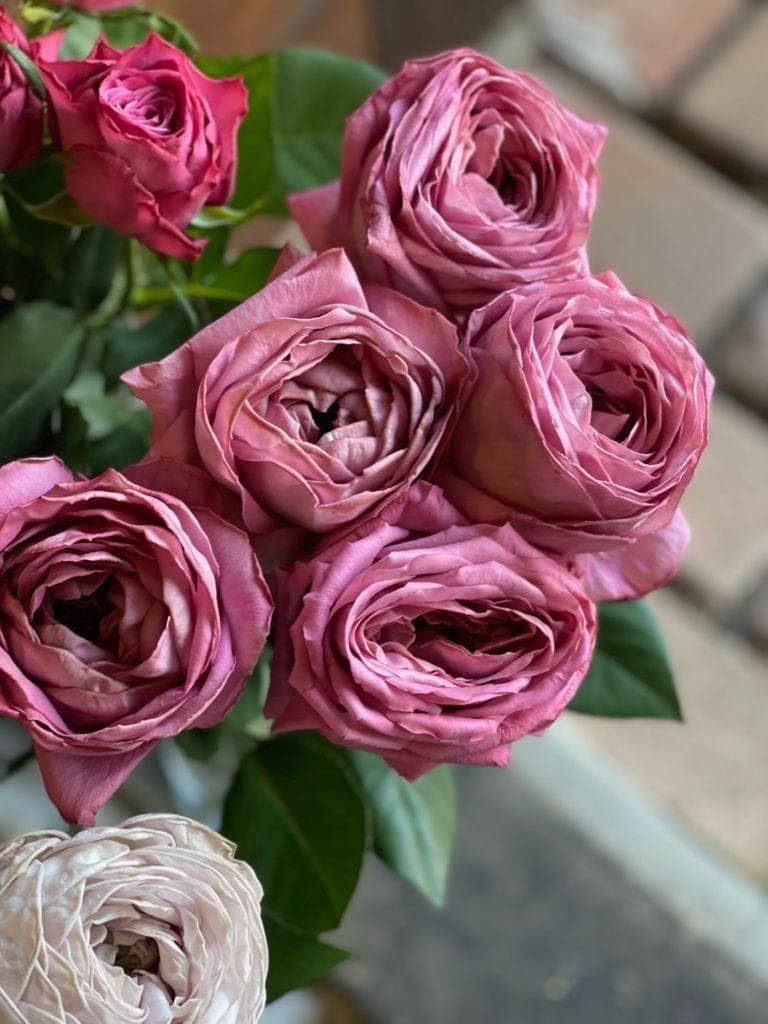 切花種 ヴァーズ