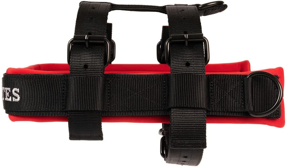 Canine Athletes Elite-HD V3 Heavy Duty Working Dog Weight Drag Pulling Harness w/Tracer, Strength Training (Medium)