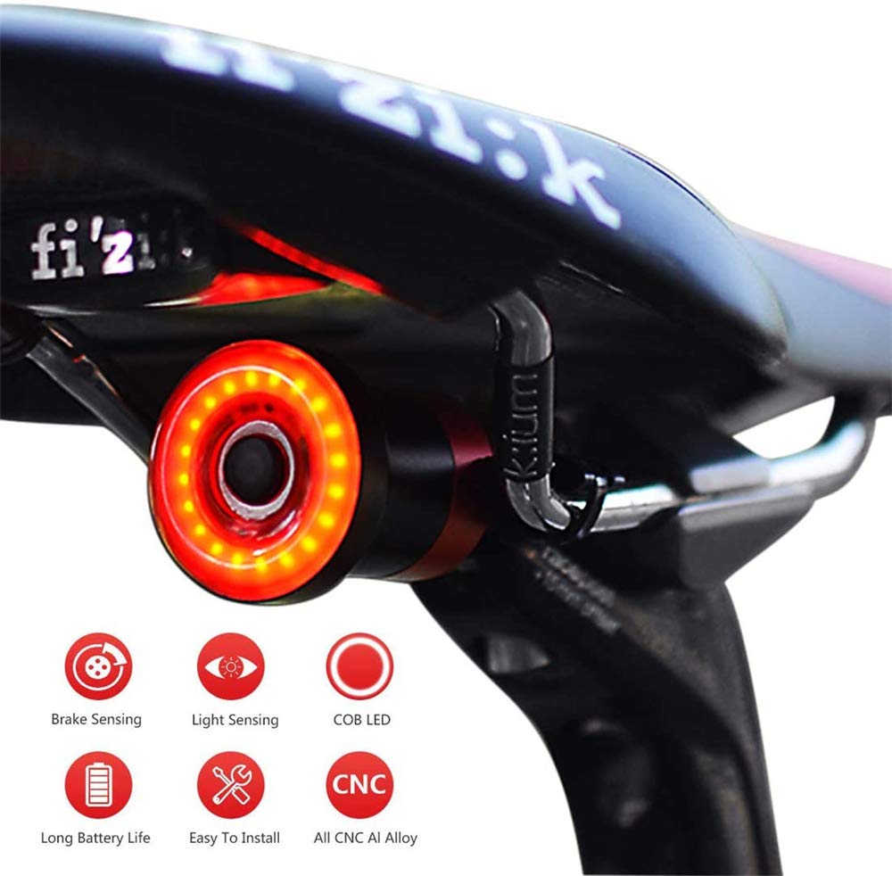 Fanale Posteriore per Bicicletta,Fanale Posteriore di Allarme Intelligente,Fanale Posteriore Impermeabile,Ricarica USB,Fanale Posteriore a LED