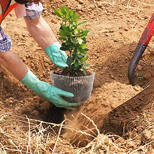 12 Stück Pflanzkorb Wühlmausschutz, Wühlmauskorb, 1/3/5 Gallonen Metallnetzbeutel aus Edelstahl,Pflanzenwurzelschutz für Schutz der Wurzeln von Bäumen, Blumen, Gemüse (12PCS)