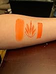 Review Image by Fun Time Face Painting Fun Time Face Painting