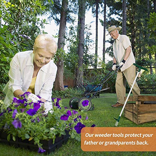 Hilif Garden Stand Up Weeder and Weed Puller Stand up Manual Weeder Hand Tool with 3 Claws Stainless Steel and High Strength Foot Pedal Weed Puller 39