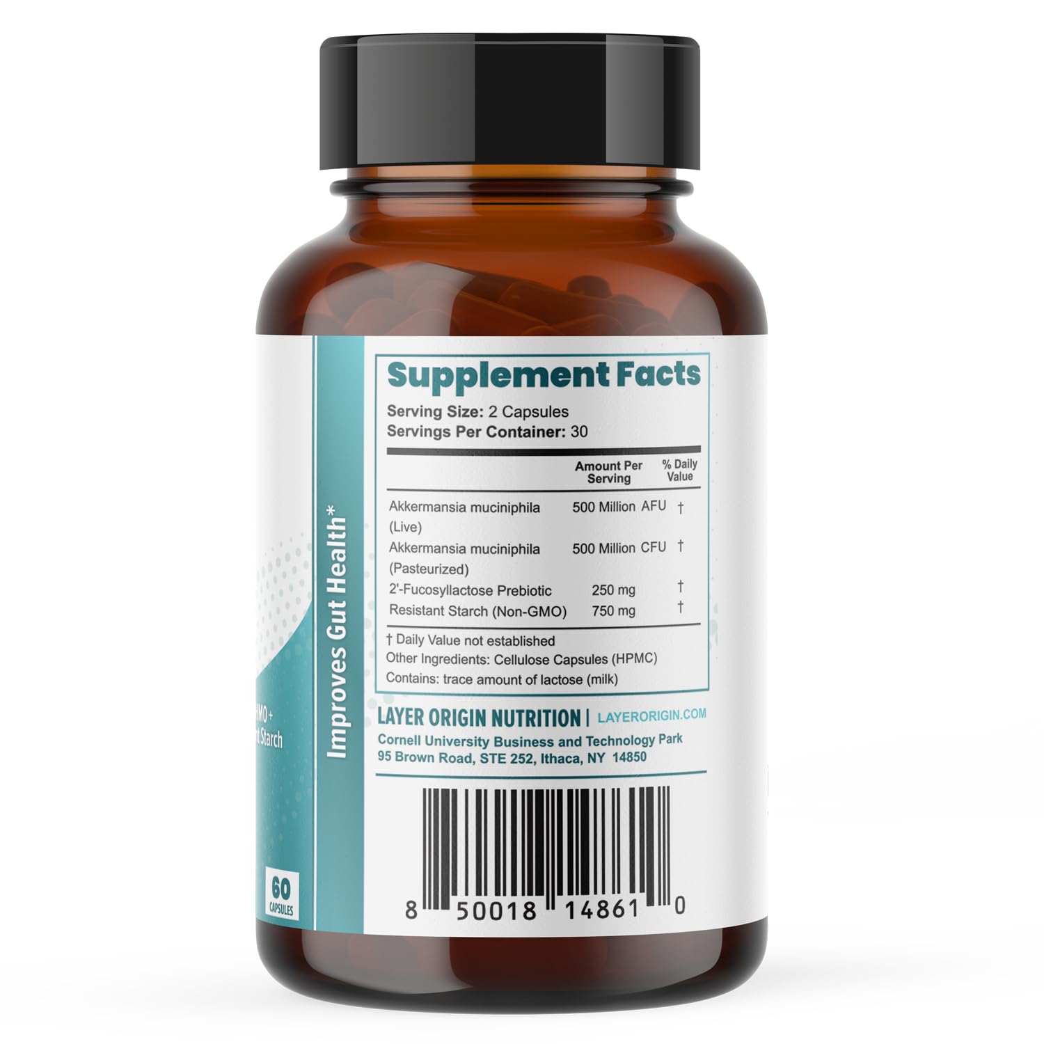 Layer Origin Akkermansia muciniphila Probiotic, The Only Akkermansia with PureHMO Prebiotic, Live, Validated Strain, 30-Day