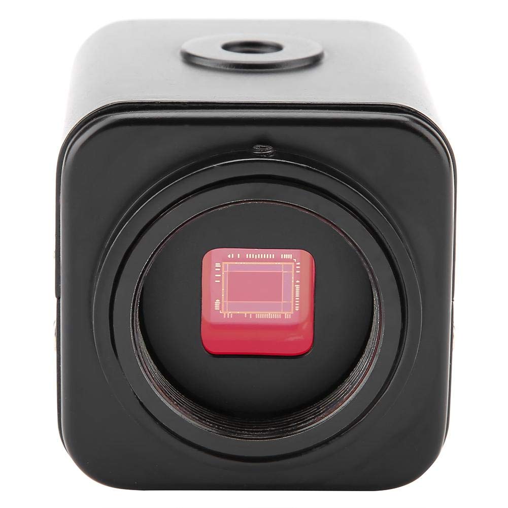 Cámaras Industriales del Microscopio 60F / S, Cámara del Microscopio de La Salida de 1080P HDMI(EU Plug)