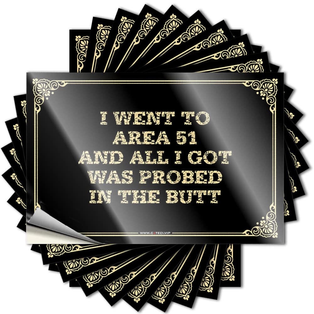 Fzfn Girls Colour I Went To Area 51 And All I Got Was Probed In The Butt Saying | Book Tumbler Removable Decal Pack(12X18cm)